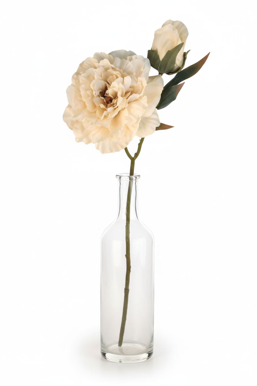 Cream ivory artificial peony stem arranged in clear glass vase on white background