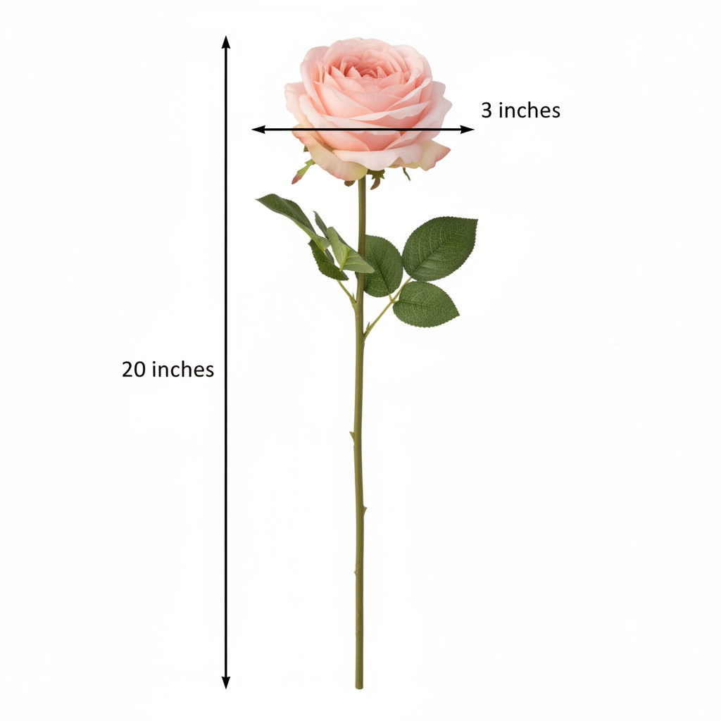 Blush pink artificial rose stem measurement diagram showing 20 inch stem height and 3 inch bloom diameter