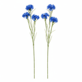 Two artificial blue cornflower stems on pure white background, marketplace product photography
