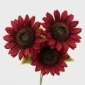 Close-up detail of burgundy sunflower showing deep red wine-colored silk petals and textured center