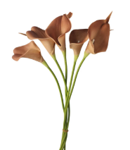 Terracotta Calla Lily Stems Faux Floral Bouquet Burnt Orange Flowers 5 Stem Bunch Autumn Decor Modern Vase Arrangement