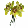 Set of 5 artificial green cymbidium orchid stems with green petals and burgundy centers on pure white background