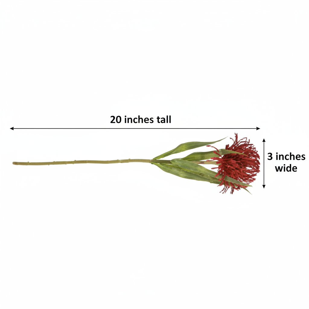 Size chart showing artificial red pincushion protea stem measuring 20 inches tall by 3 inches wide with measurement lines