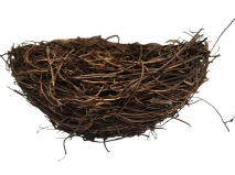 Rustic Twig Bird Nest 6 Inch Natural Handcrafted Nest Farmhouse Spring Decor