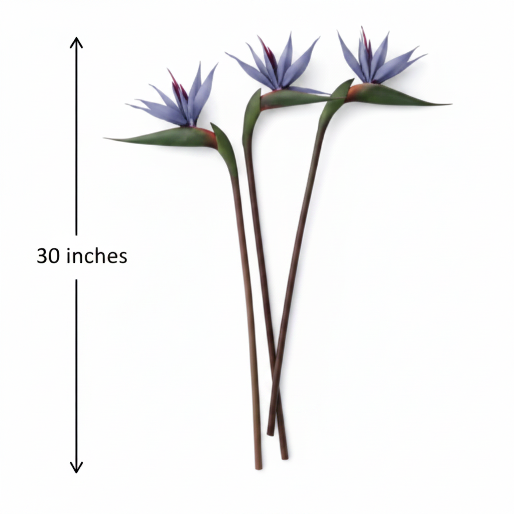 Moody blue purple Bird of Paradise artificial stems flat lay measurement diagram showing 30 inch height on white background