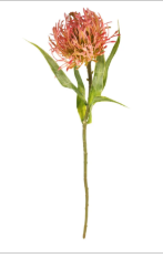 Artificial Pink Pincushion Protea Stem | Faux Leucospermum Flower | Frosted Coral Protea | Tropical Floral Decor
