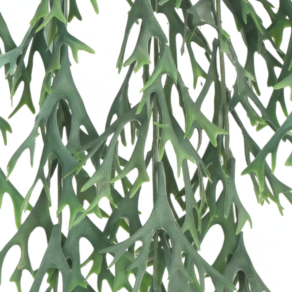 Close-up of faux staghorn fern foliage showing antler-like leaf detail and soft green tones