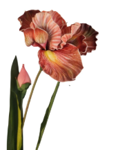 Luxury Artificial Iris Flower 33 Inch Tall Hand Painted Look Terracotta Pink Faux Floral Stem