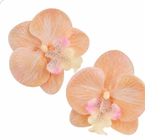 2 peach champagne Real Touch Phalaenopsis orchid bloom heads on white background