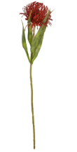 Artificial Red Pincushion Protea Stem | Faux Leucospermum Flower | Tropical Floral Decor
