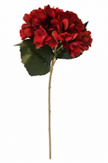 Deep red artificial hydrangea stem silk flower on white background, full stem view for fall wedding and romantic home decor