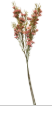 Artificial Two Tone Pink Dogwood Stems 2 Pcs Ombre Wax Flower Faux Floral Pink Decor 24 Inch