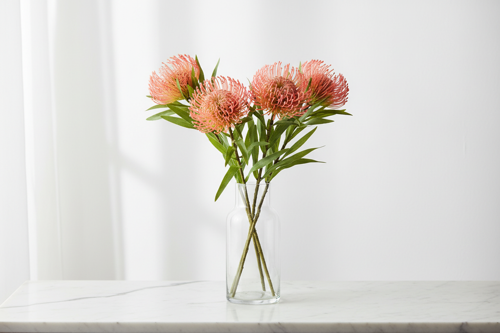 Pink coral pincushion protea stems in clear glass vase on white marble surface, elegant botanical home styling