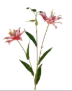 Luxury Artificial Hot Pink Lily Stem 27 Inch | Faux Asiatic Lily with Buds | Symbolic Wedding Floral | Elegant Home Decor