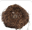 Rustic Twig Bird Nest 6 Inch Natural Handcrafted Nest Farmhouse Spring Decor