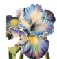 Artificial Iris Flower 33 Inch Tall Blue Faux Iris Stem Hand Painted Look Floral Decor