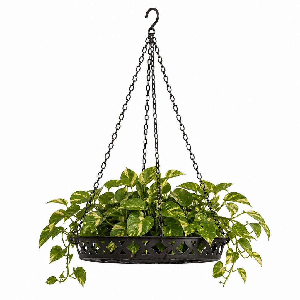Black Metal Hanging Planter Basket 12" Rustic Farmhouse Boho Indoor Outdoor