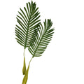 Artificial Palm Leaves Set of 2 Realistic Tropical Green Fronds 22 Inch Flexible Stems