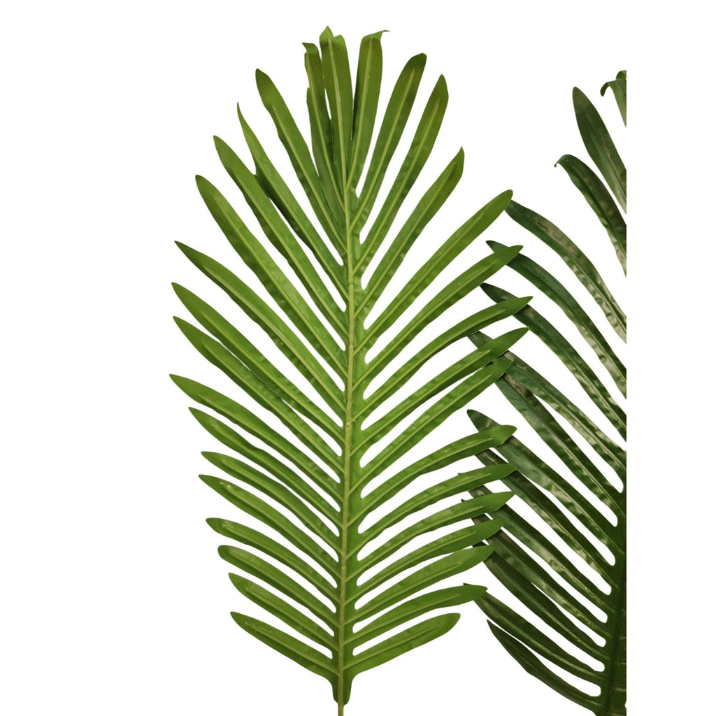 Artificial Palm Leaves Set of 2 Realistic Tropical Green Fronds 22 Inch Flexible Stems