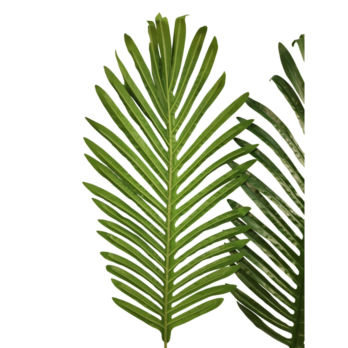 Artificial Palm Leaves Set of 2 Realistic Tropical Green Fronds 22 Inch Flexible Stems