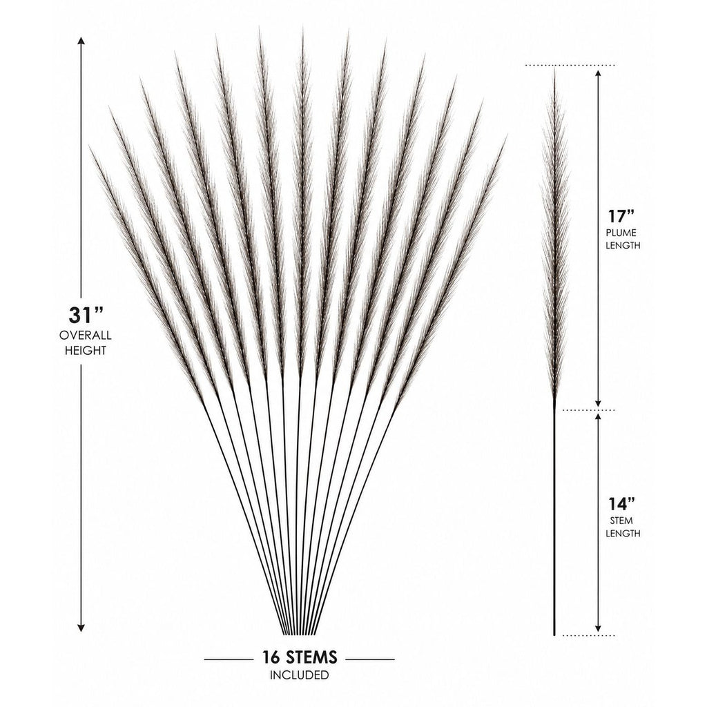 A product dimension diagram showing a fan-shaped arrangement of 16 tall decorative grass stems, with labeled measurements for overall height (31 inches), plume length (17 inches), stem length (14 inches), and included stem count (16 stems) on a white background.