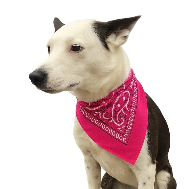 Burgundy Hot Pink Colorful Bandanas 21x21 Inch Square Western Style Scarves Set of 3