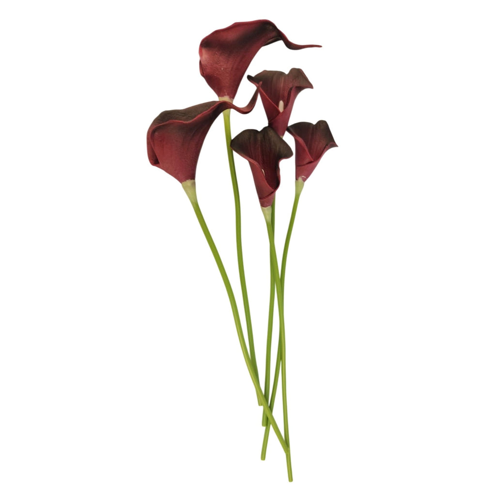 Red calla lilies on a white background
