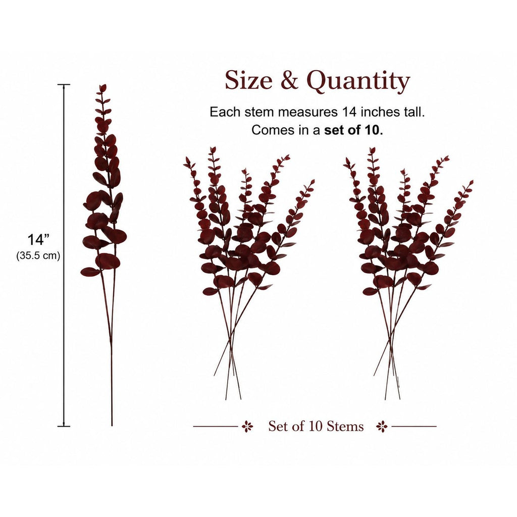 Illustration of dried stems with measurement details on a white background
