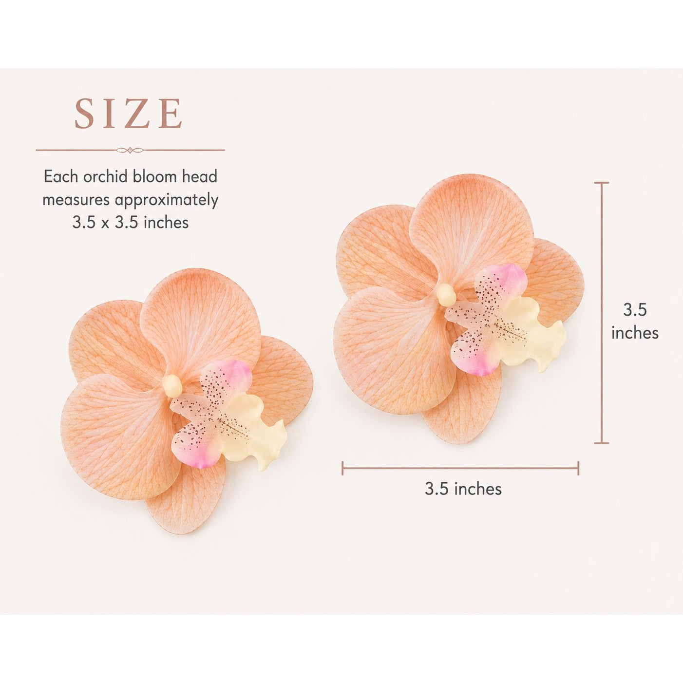 Peach Champagne Real Touch Orchid Heads Set of 2 | 3.5 Inch Phalaenopsis Blooms for Corsage Boutonniere Crafts