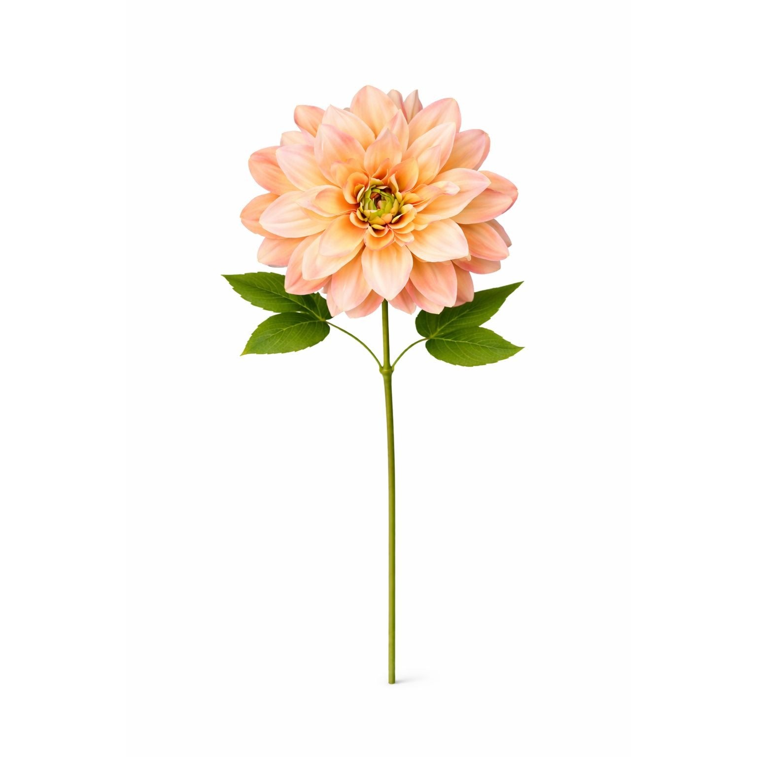 Peach Dahlia Stem Faux Flower 24 Inch 5 Inch Bloom Soft Peach Artificial Dahlia Wedding Centerpiece Floral Decor
