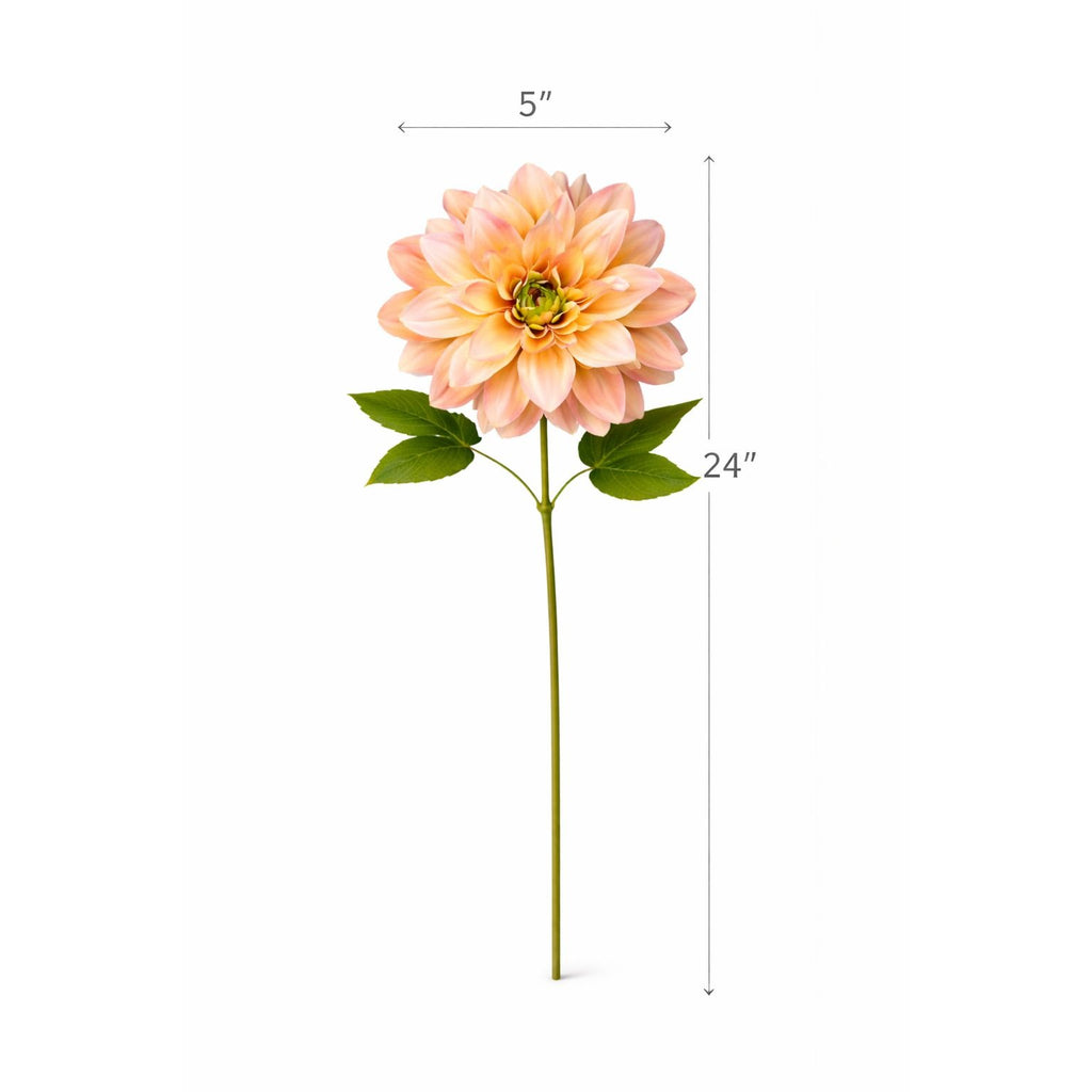 Measurement chart of a peach-colored flower with green leaves on a white background