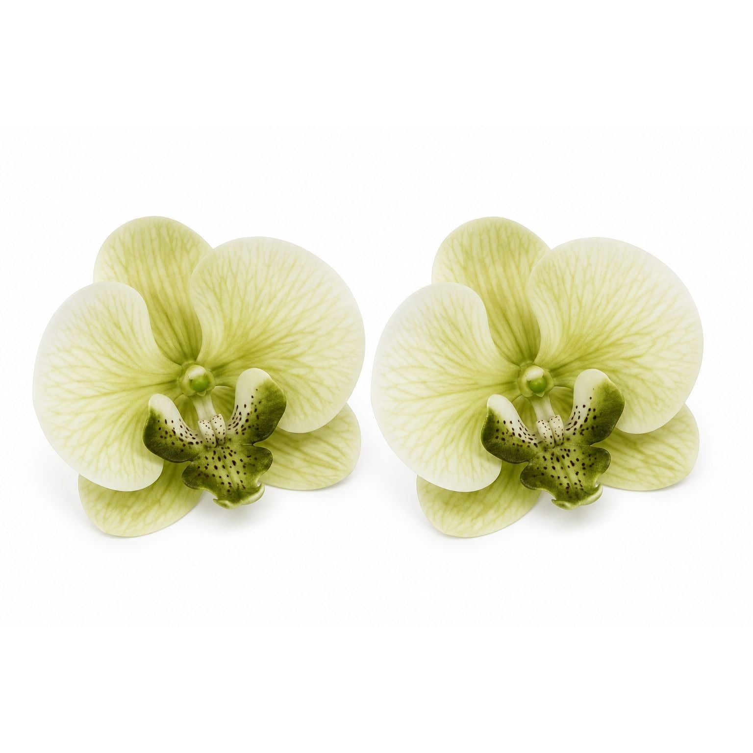Real Touch Phalaenopsis Orchid Heads Set of 2 | 3.5 Inch Cream Moss Green Faux Blooms for Corsage Wreath Gift Cake