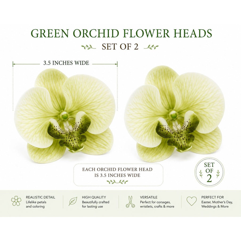 Real Touch Phalaenopsis Orchid Heads Set of 2 | 3.5 Inch Cream Moss Green Faux Blooms for Corsage Wreath Gift Cake