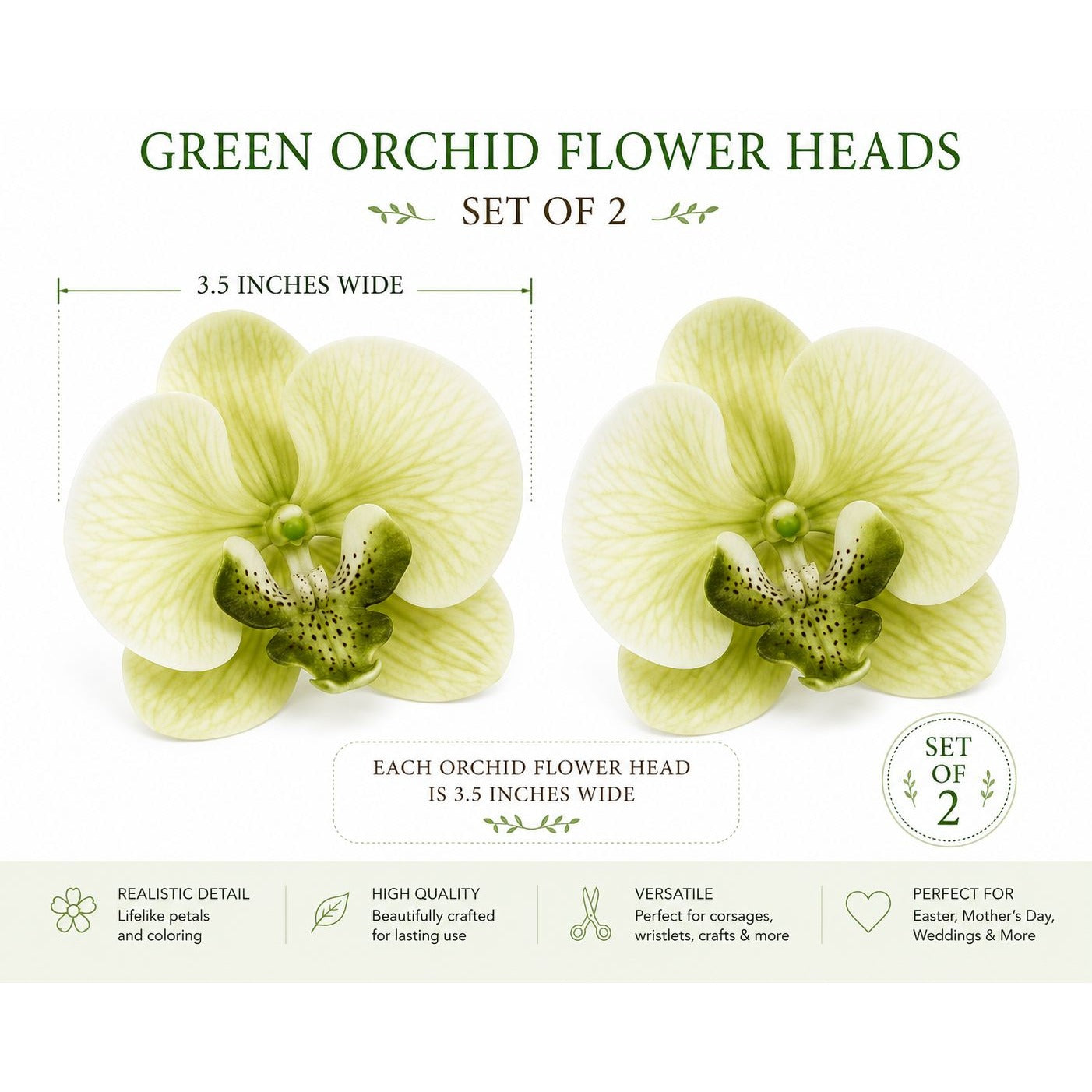 Real Touch Phalaenopsis Orchid Heads Set of 2 | 3.5 Inch Cream Moss Green Faux Blooms for Corsage Wreath Gift Cake