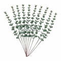 Faux Eucalyptus Stems Sage Green Eucalyptus Greenery Artificial Eucalyptus Wedding Greenery Farmhouse Wreath Supplies 14 Inch Set of 10