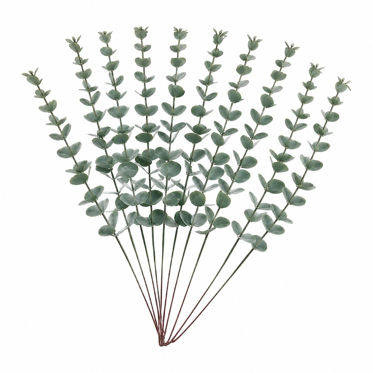 Faux Eucalyptus Stems Sage Green Eucalyptus Greenery Artificial Eucalyptus Wedding Greenery Farmhouse Wreath Supplies 14 Inch Set of 10