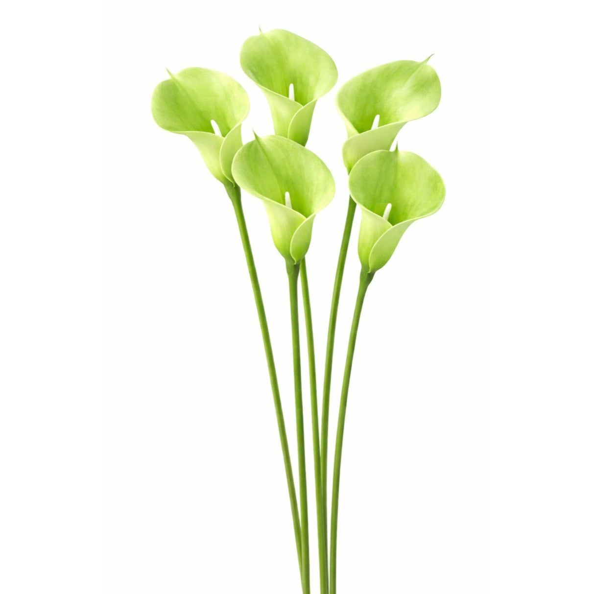 Artificial Green Calla Lily Stems Set Of 5 Real Touch Faux Flowers 15 Inch Wedding Decor