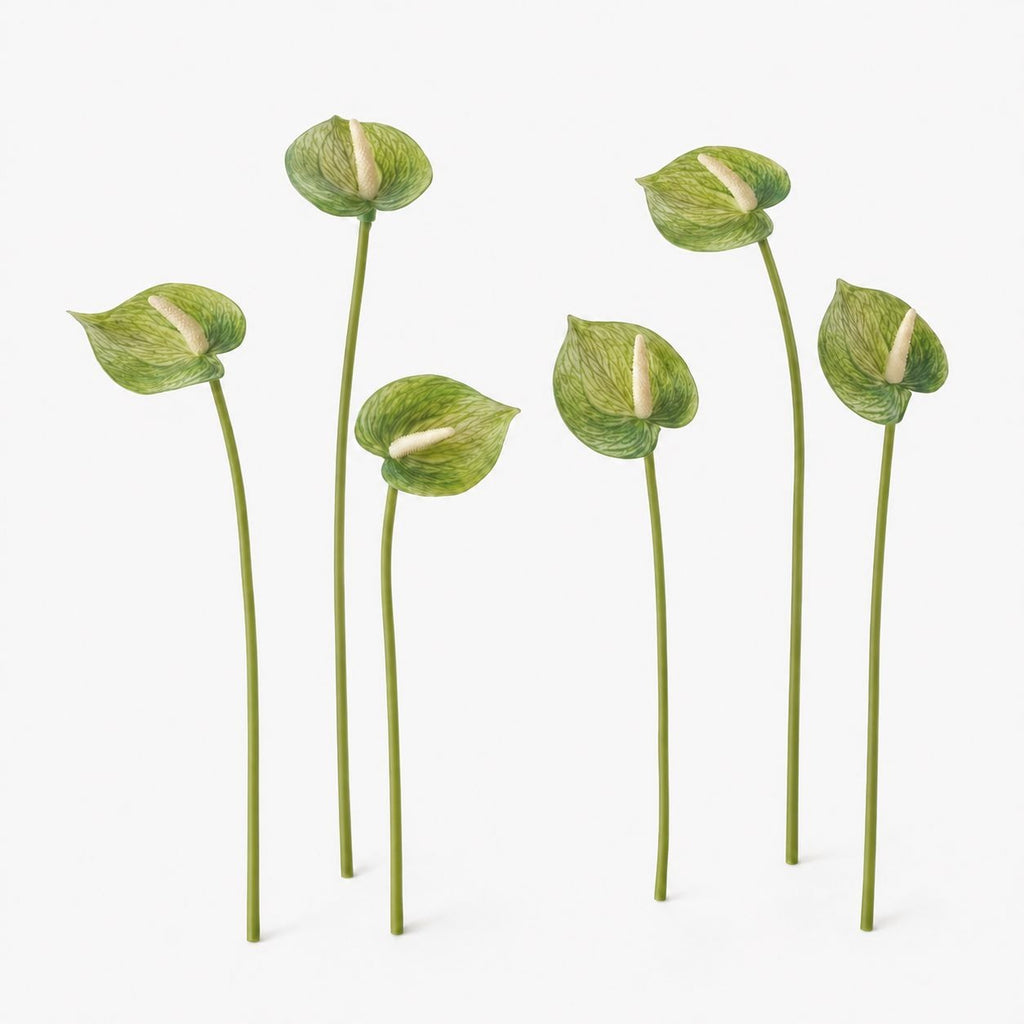 Soft Green Artificial Anthurium Stems | Set of 6 | 11 Inch Real Touch Flowers