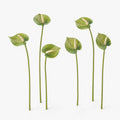 Soft Green Artificial Anthurium Stems | Set of 6 | 11 Inch Real Touch Flowers