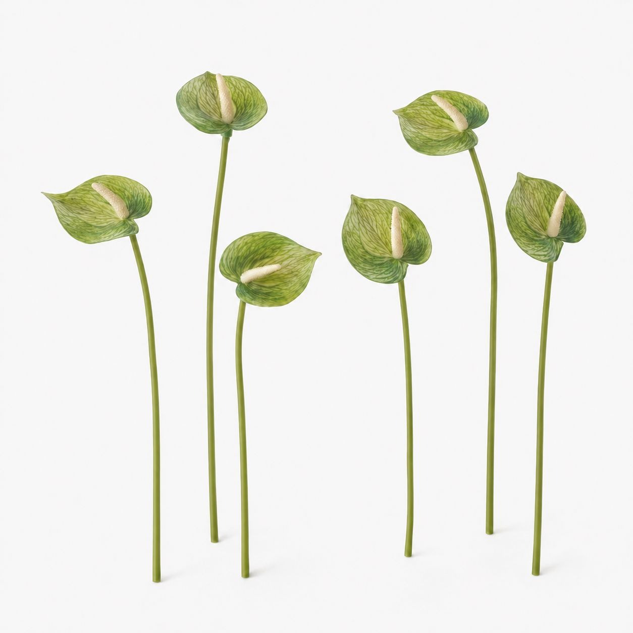 Soft Green Artificial Anthurium Stems | Set of 6 | 11 Inch Real Touch Flowers