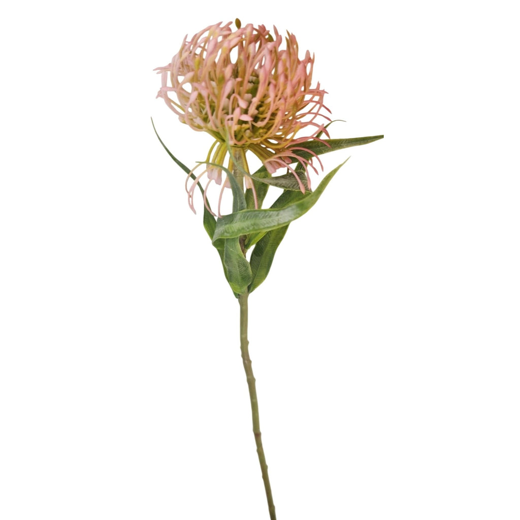Pink Blush Pincushion Protea Stem Faux Protea Flower Artificial Floral Decor