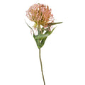 Pink Blush Pincushion Protea Stem Faux Protea Flower Artificial Floral Decor