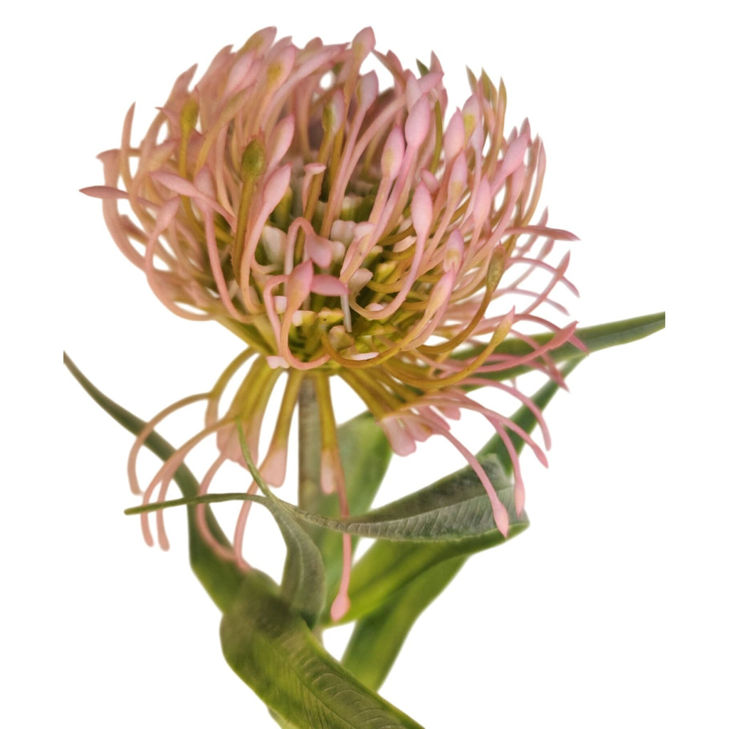 Pink Blush Pincushion Protea Stem Faux Protea Flower Artificial Floral Decor