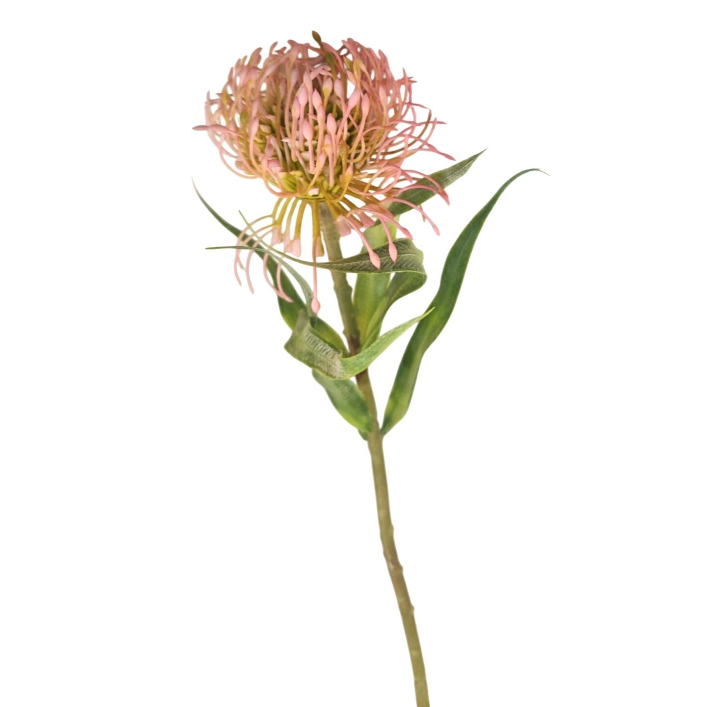 Pink Blush Pincushion Protea Stem Faux Protea Flower Artificial Floral Decor