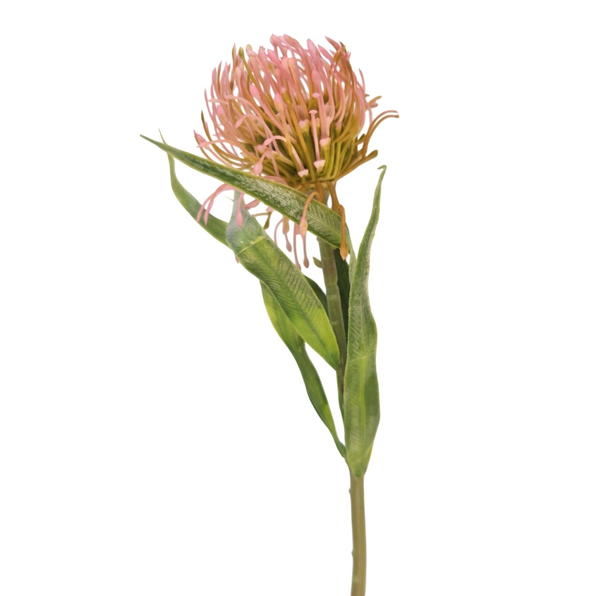 Pink Blush Pincushion Protea Stem Faux Protea Flower Artificial Floral Decor