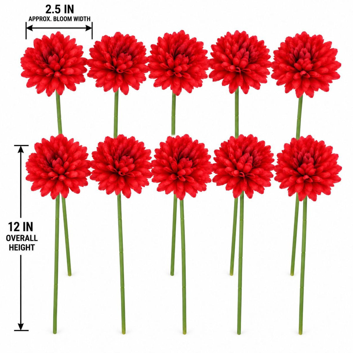 Ten bright red artificial mums flowers with green stems arranged in two rows on a white background, with measurement callouts showing 2.5 inches bloom width and 12 inches overall height.