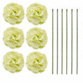 Pale Green Artificial Peony Ranunculus Flowers Set of 6, 3 in Flower Heads