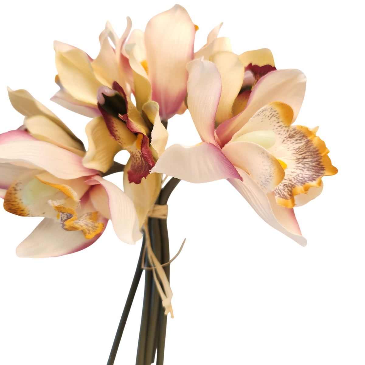 Artificial Cymbidium Orchids, Set of 7, 9-Inch Cream Blush Faux Flowers