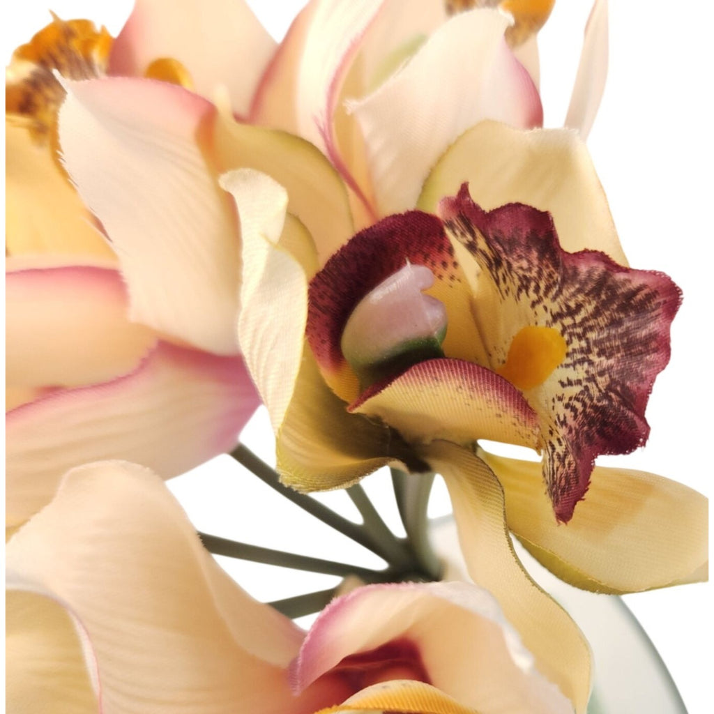 Artificial Cymbidium Orchids, Set of 7, 9-Inch Cream Blush Faux Flowers