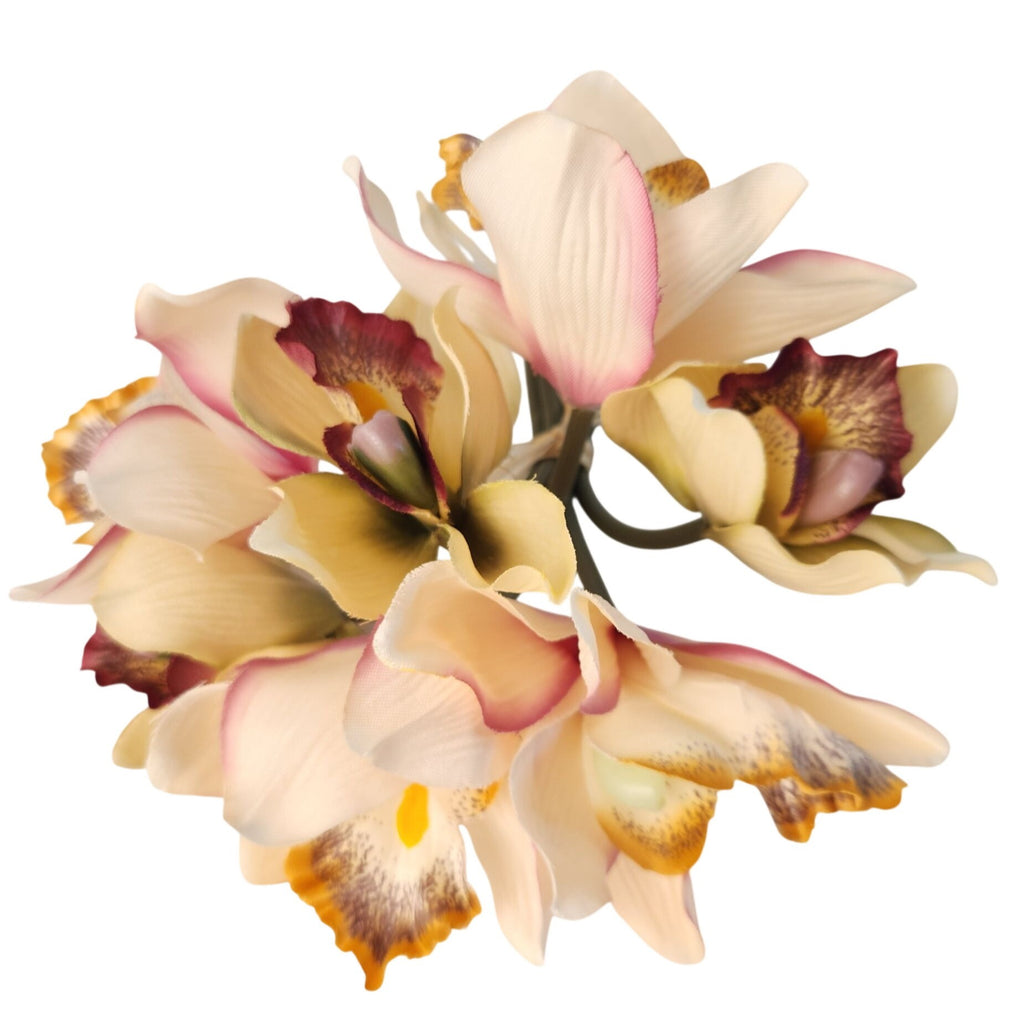 Artificial Cymbidium Orchids, Set of 7, 9-Inch Cream Blush Faux Flowers